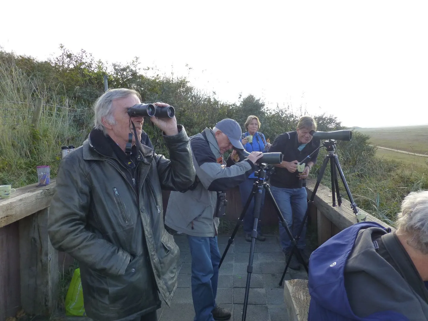 Texel2-415.webp